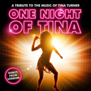 One Night of Tina